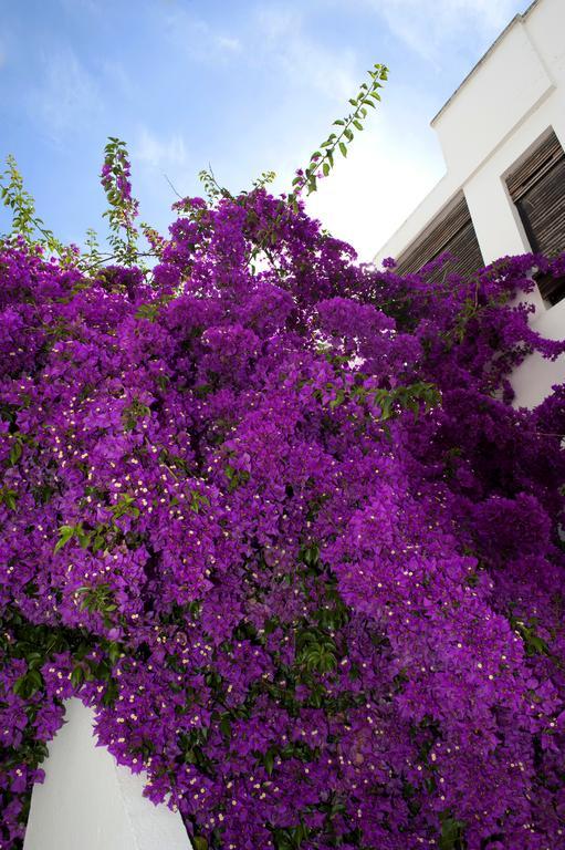 Haspeyma Otel Bodrum Luaran gambar